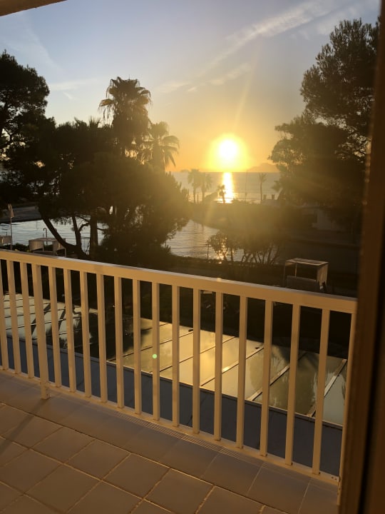 Ausblick allsun App.-Hotel Orquidea Playa