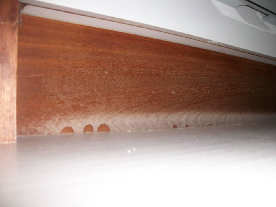 Möbel Sea Star Lodge