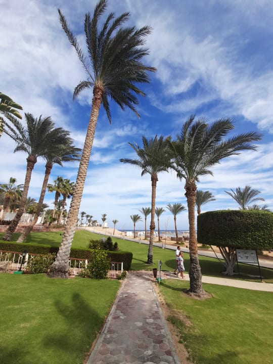 Garten Steigenberger Coraya Beach - Adults only