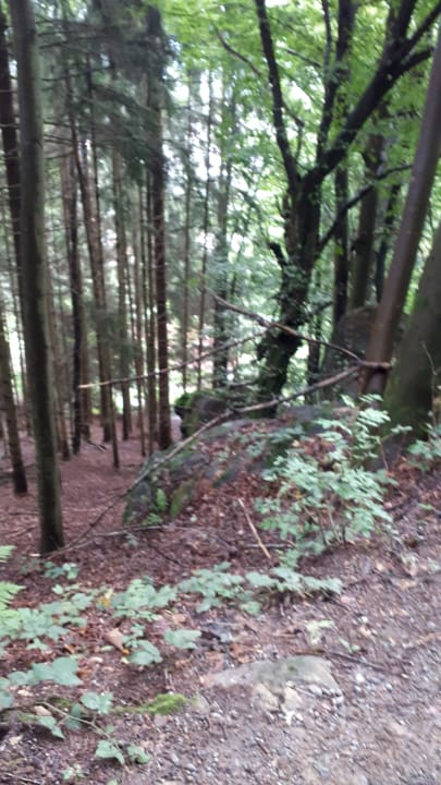 Ausblick Montara Suites Bodenmais