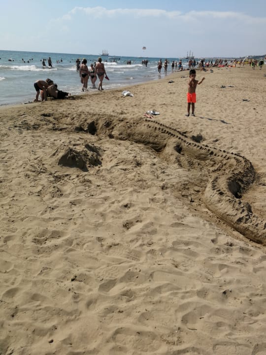 Strand Side Royal Paradise Hotel