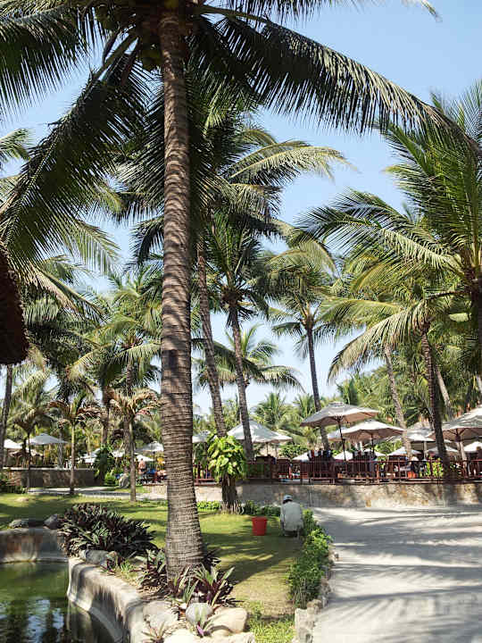 Gartenanalage Hotel Blue Ocean Resort