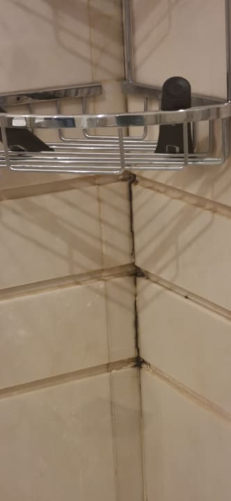 Zimmer Pisa Tower Plaza