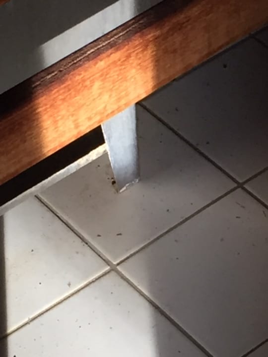 Sport & Freizeit Panoramic - Ihr Apartmenthotel im Harz