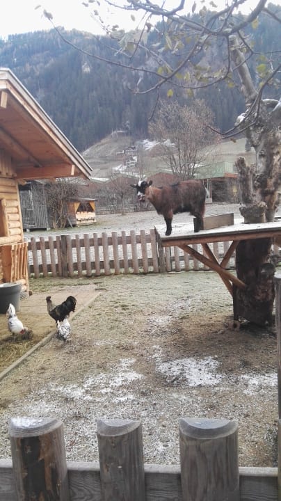 Sport & Freizeit Hotel Auhof