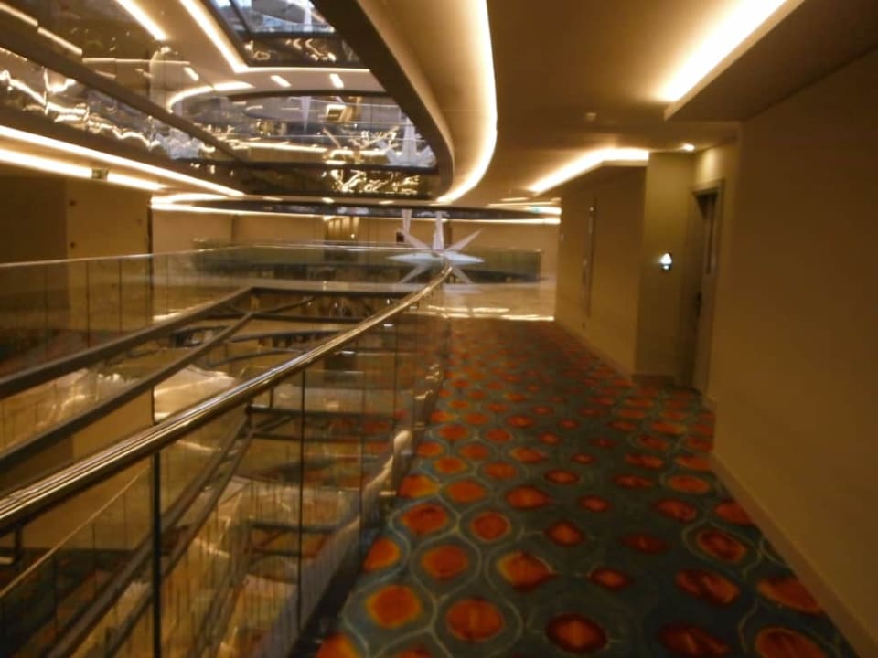 Royal Seginus Royal Seginus