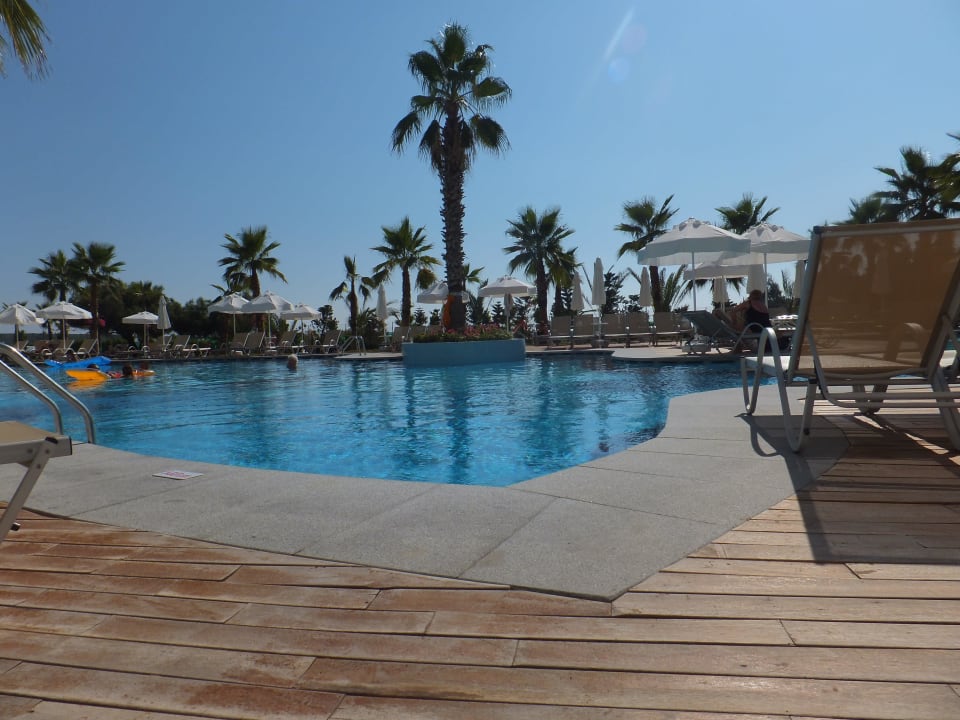 Pool Asteria Bloom Side