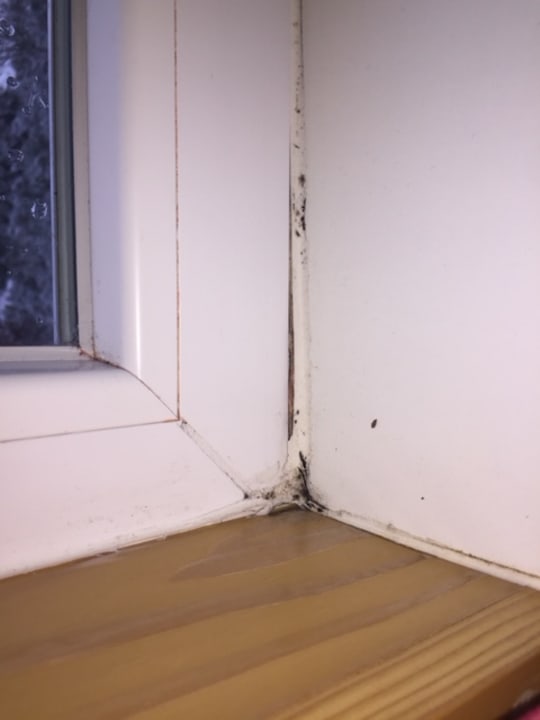 Zimmer Center Parcs Park Bostalsee