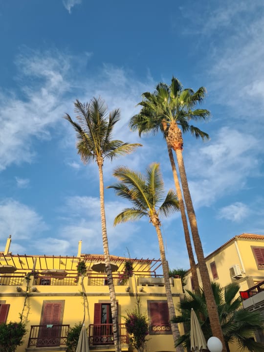 Außenansicht Bungalow Maspalomas Oasis Club