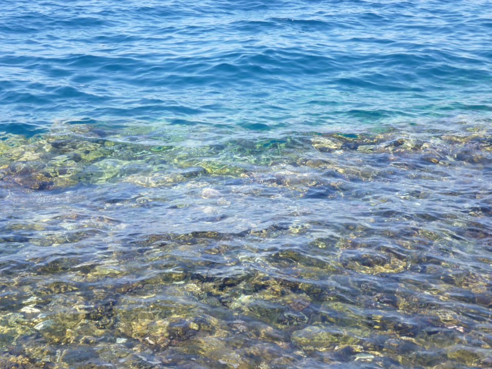 Coral Pickalbatros Citadel Resort