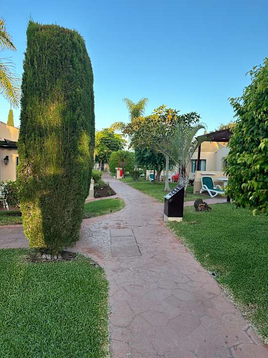 Gartenanlage allsun Hotel Esplendido