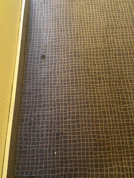 Zimmer Hotel Elbinsel