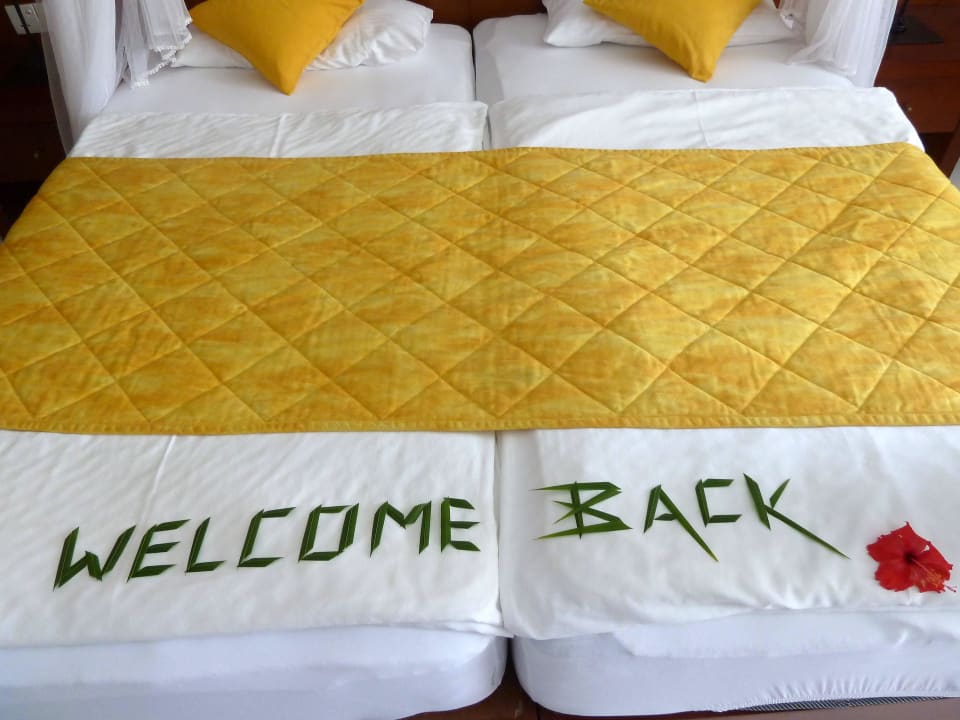 Welcome Back Hotel Lanka Princess Ayurveda