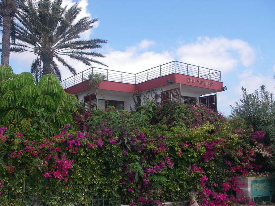 San Nicolas in einem Meer von Blumen Hotel San Nicolas