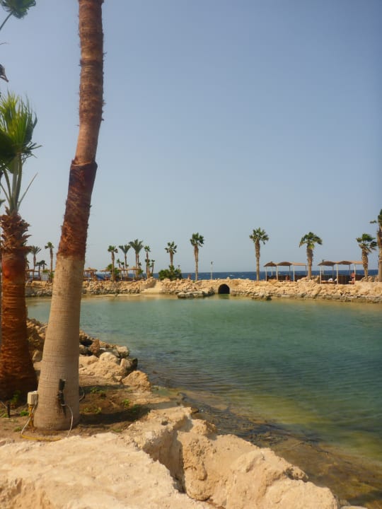 Strand Pickalbatros Citadel Resort