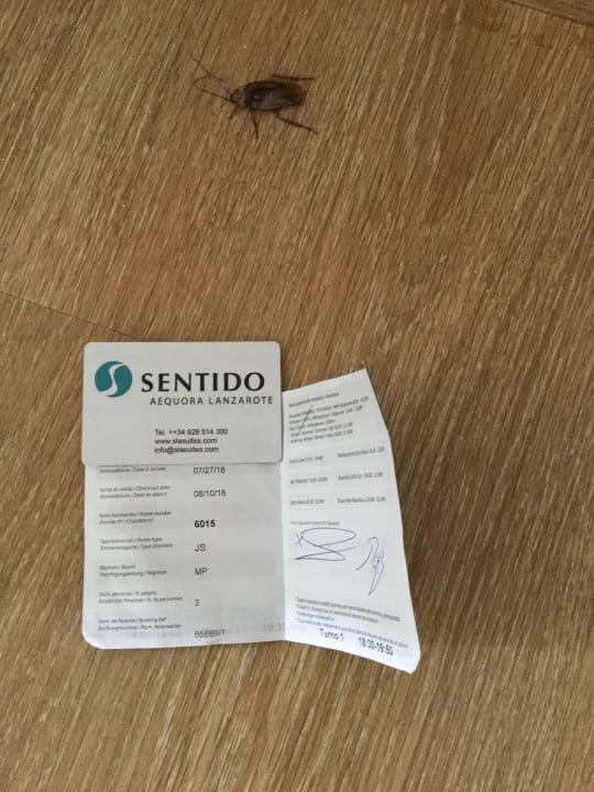 Zimmer Sentido Aequora Lanzarote Suite