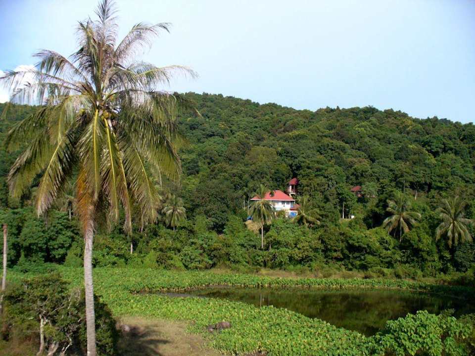 Ausblick Hotel The Lanai Beach Resort