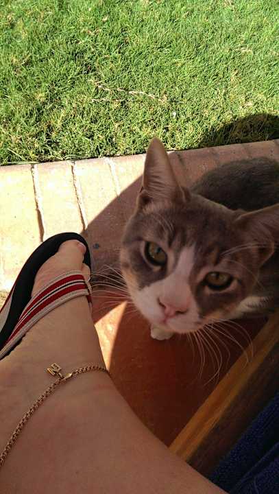 Hotel Fantasia 1001 Nacht - Alf Leila wa Leila               Pickalbatros Alf Leila Wa Leila Resort - Neverland Hurghada