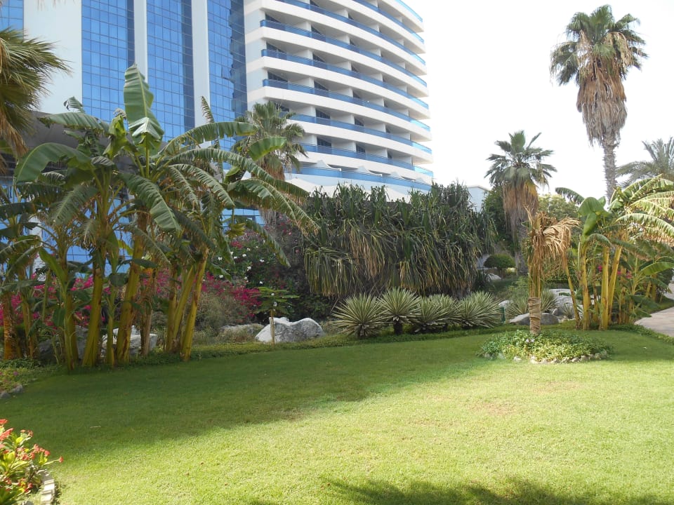 Hotel Le Meridien Al Aqah Beach Resort Hotel Le Meridien Al Aqah Beach Resort