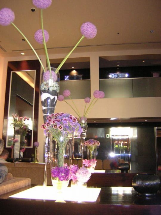 Lobby Sofitel Chicago Water Tower Hotel Sofitel Chicago Magnificent Mile