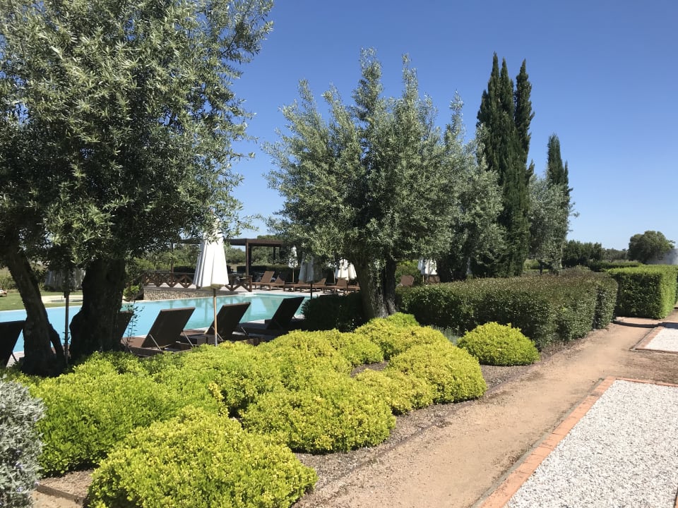 Pool Convento do Espinheiro Hotel & Spa