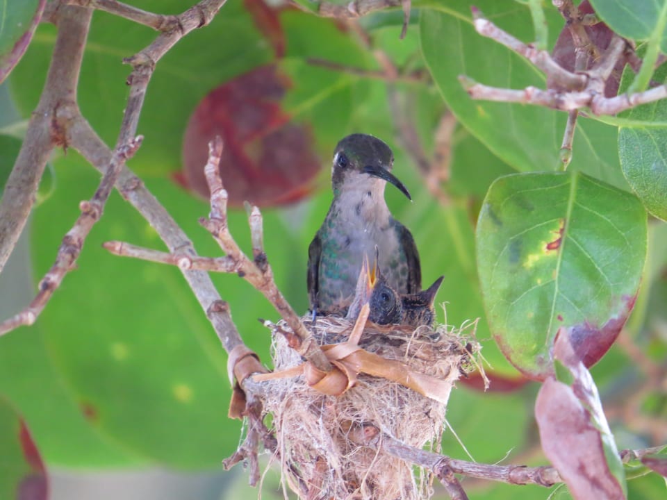 Gartenanlage Sol Rio De Luna y Mares