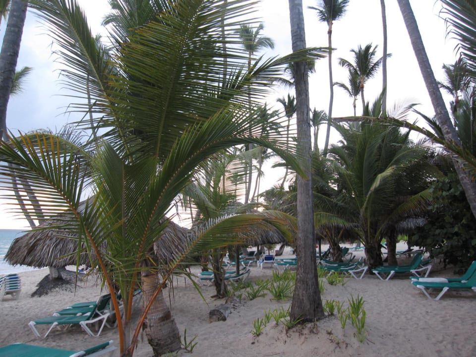 Morgens am Strand Grand Palladium Select Bávaro Resort & Spa