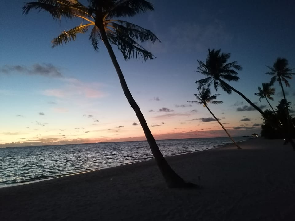 Strand Pullman Maldives Maamutaa - All-Inclusive Resort - 50% off Domestic Transfers