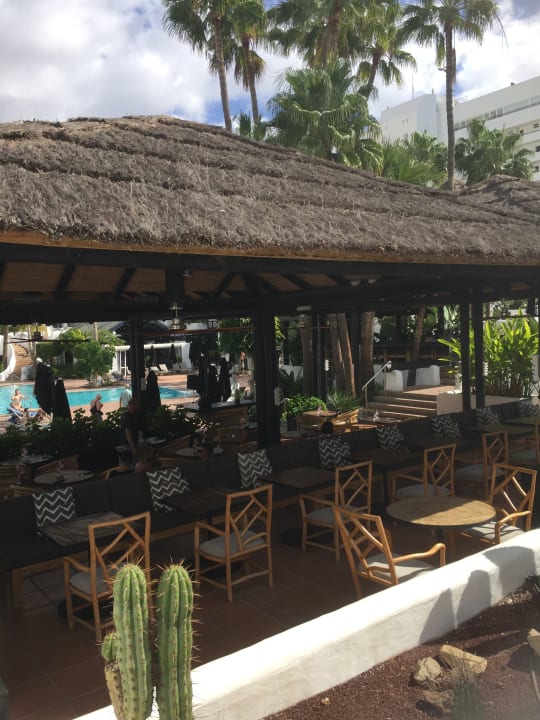 Gartenanlage Dreams Jardín Tropical