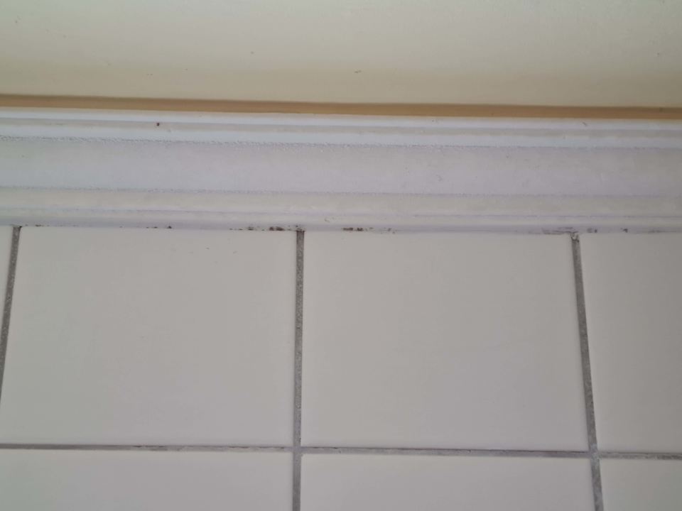 Zimmer Panoramahotel Gasthof Schönberger