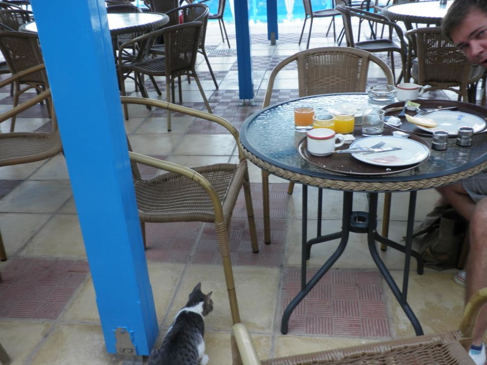 Frühstücksterrasse Queen's Bay Hotel