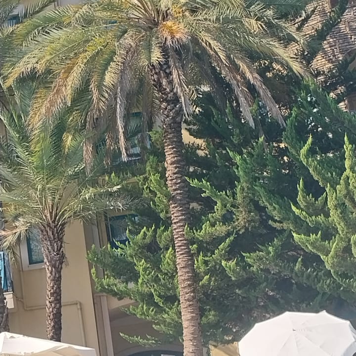 Ausblick Dosi Hotel