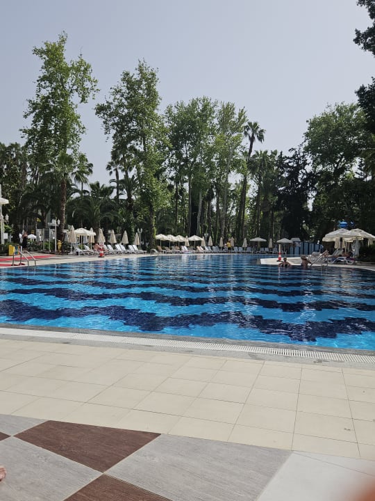 Pool Hotel Botanik Platinum