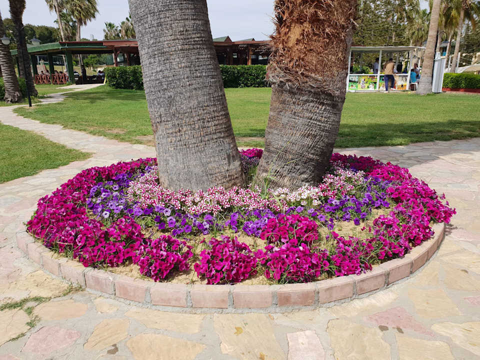 Gartenanlage Oz Hotels Incekum Beach