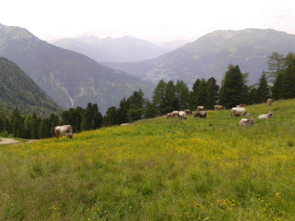 Sonstiges Apartments Haus Hackl