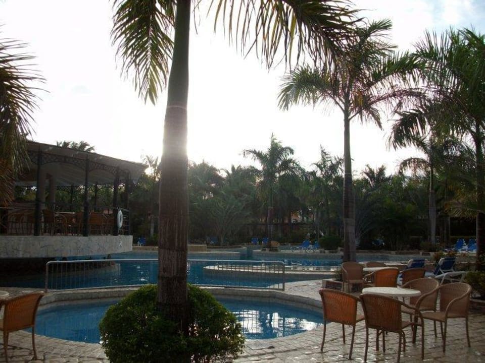 La piscine le matin Villas Bavaro Resort & Spa
