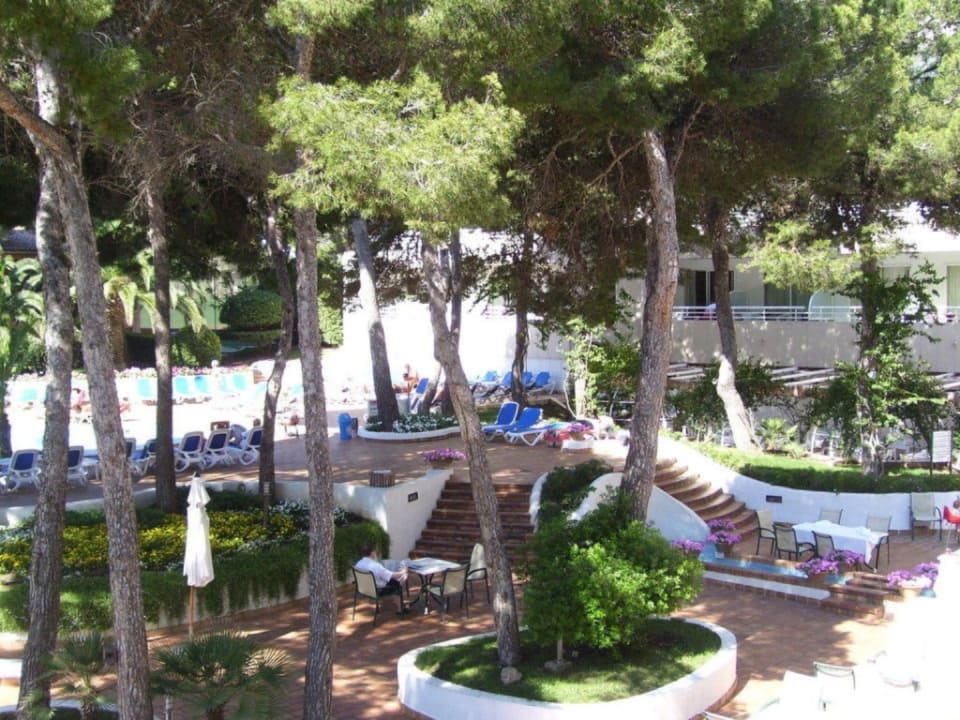 Gartenanlage Hotel & Spa S'Entrador Playa