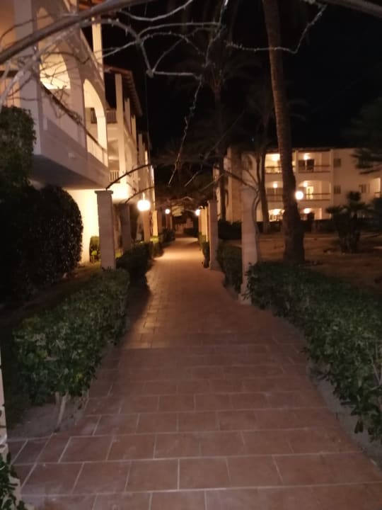 Gartenanlage Alcudia Garden Aparthotel