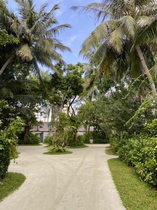 Gartenanlage Outrigger Maldives Maafushivaru Resort