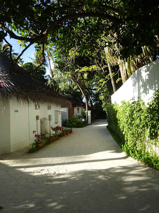 Gartenanlage Thulhagiri Island Resort