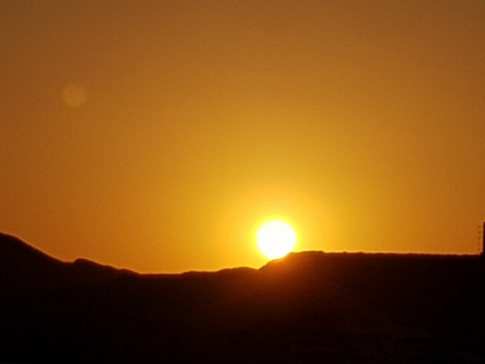 Ausblick Desert Rose