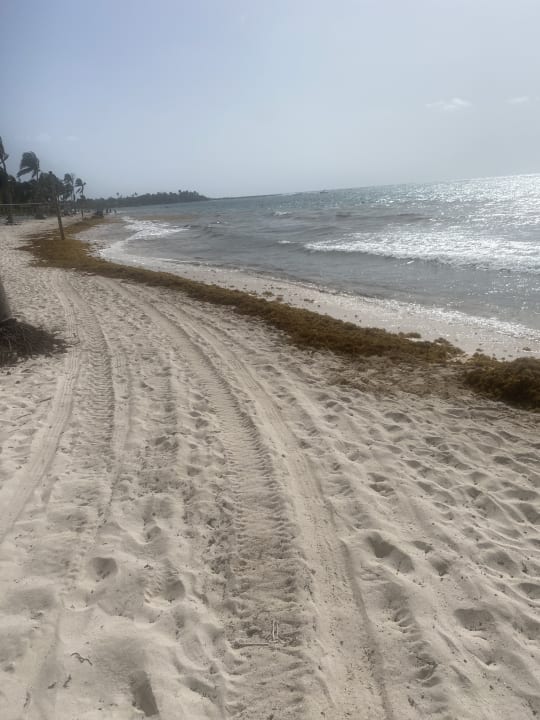 Strand Akumal Bay Beach & Wellness Resort