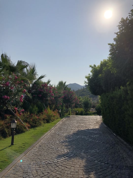 Gartenanlage The Plaza Bodrum