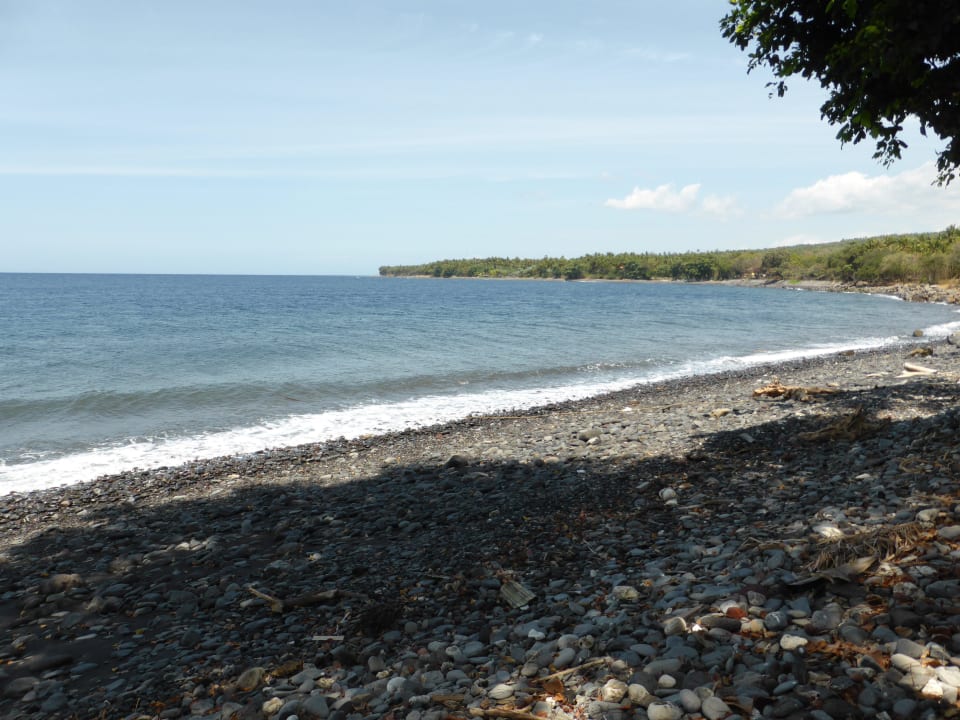 Strand Alam Anda Ocean Front Resort & Spa