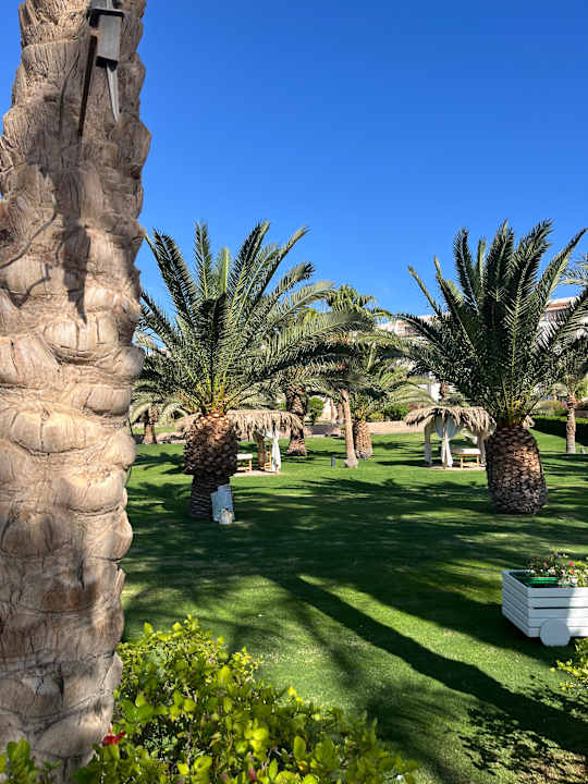 Gartenanlage Fort Arabesque Resort, Spa & Villas