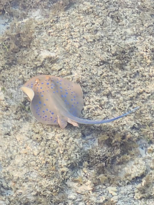 Sport & Freizeit Casa Mare Resort