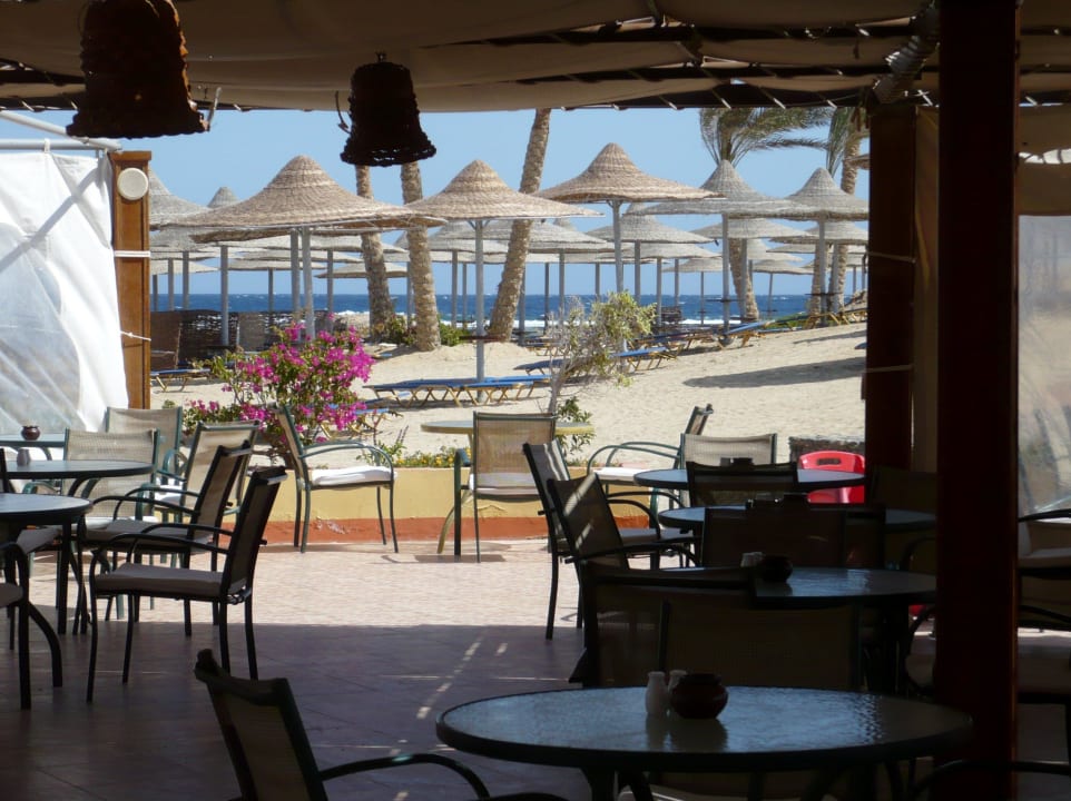 Strandbar Malikia Resort Abu Dabbab