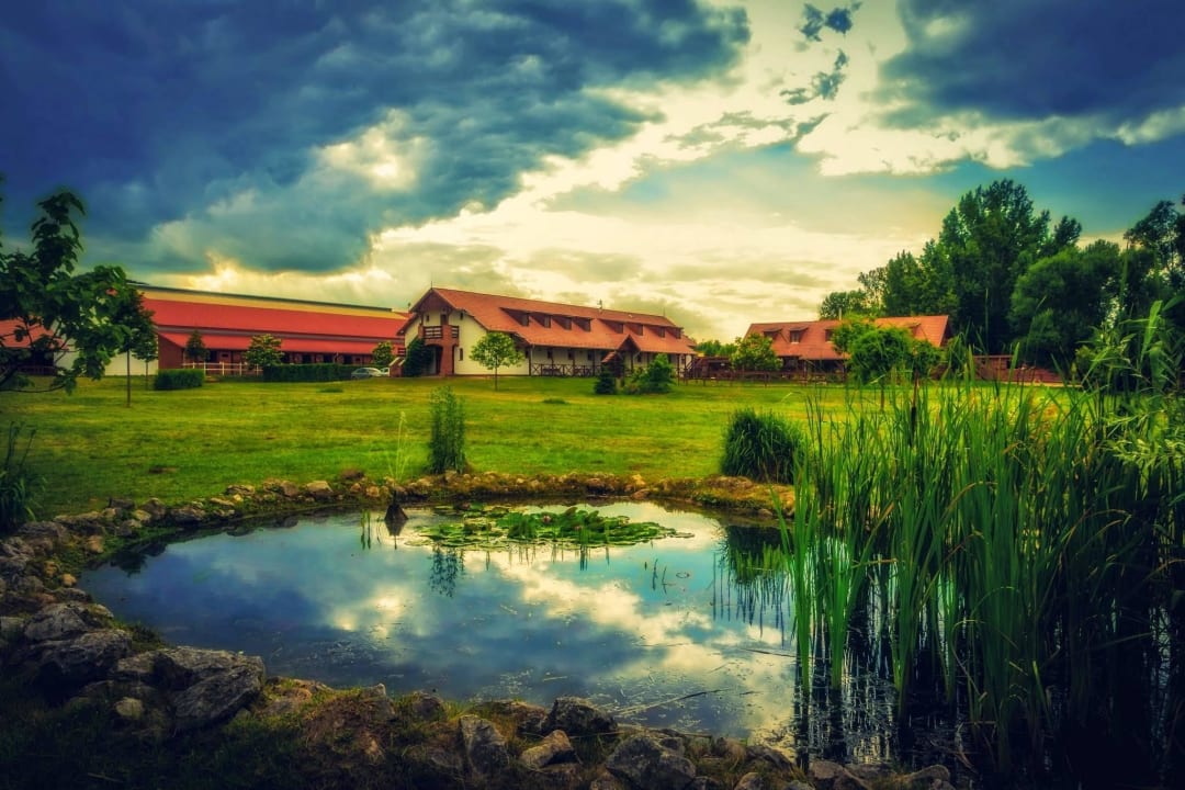 Garten mit Teich Matild Country Hotel