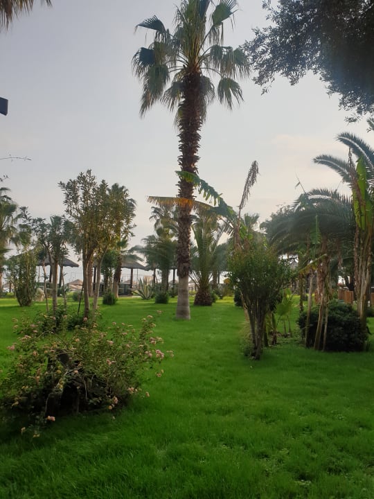 Gartenanlage Latanya Park Resort