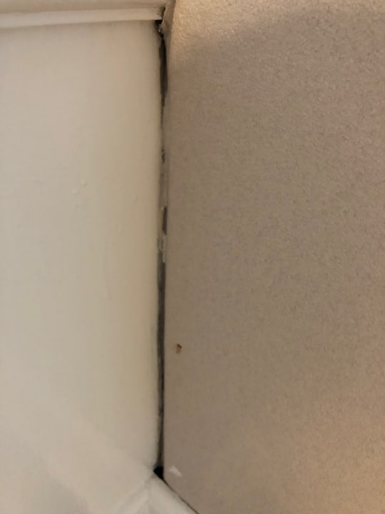 Zimmer Hotel Windsor Suites & Convention